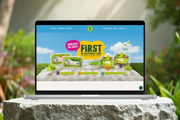 De Lettuce Bear website designed by O2O Digital